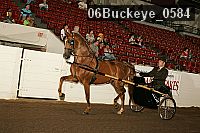 06buckeye_0584 proof