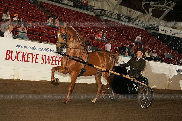 Proof 06buckeye_0585