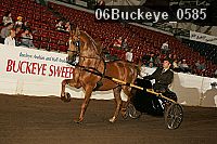 06buckeye_0585 proof