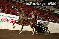 06buckeye_0586 proof