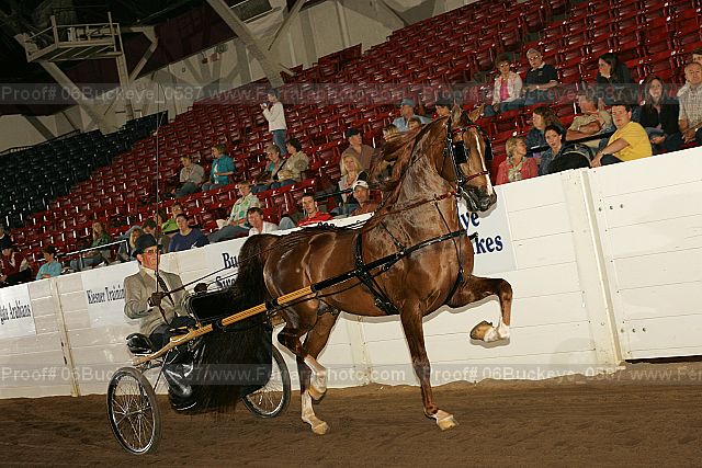 Proof 06buckeye_0587