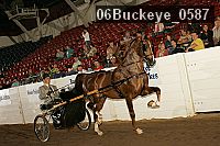 06buckeye_0587 proof