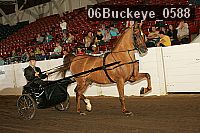 06buckeye_0588 proof