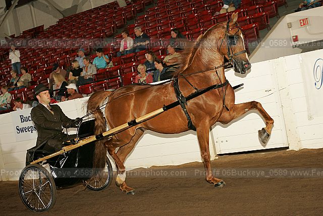 Proof 06buckeye_0589