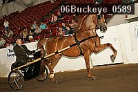 06buckeye_0589 proof