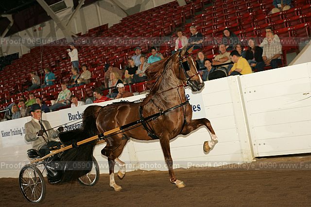 Proof 06buckeye_0590