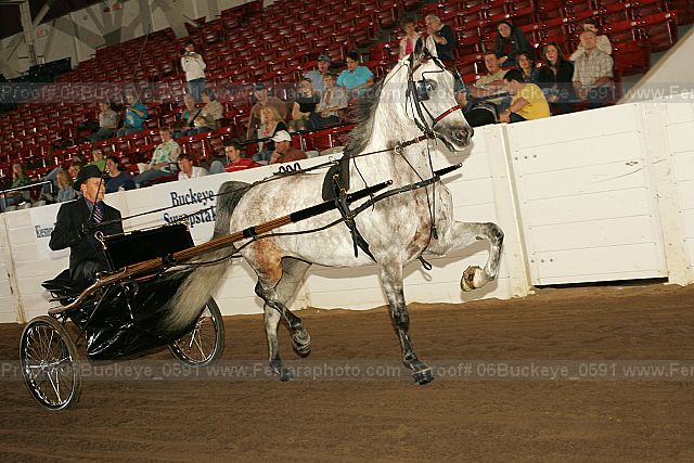 Proof 06buckeye_0591