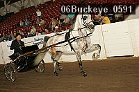 06buckeye_0591 proof