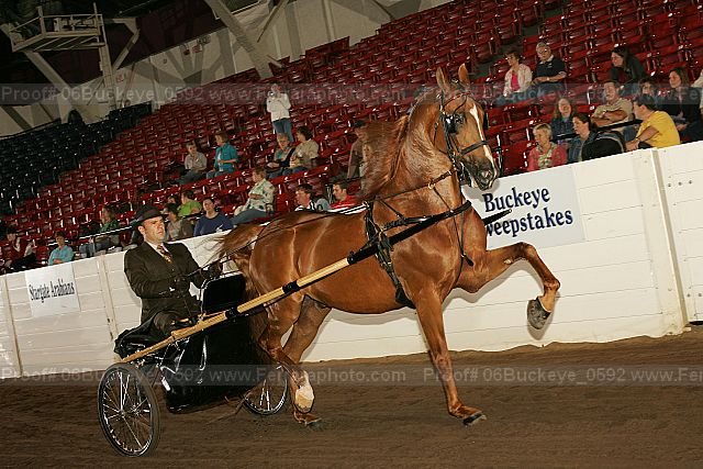 Proof 06buckeye_0592