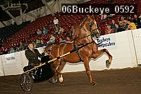 06buckeye_0592 proof