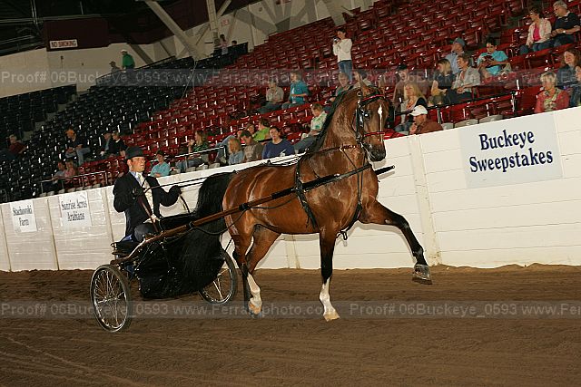 Proof 06buckeye_0593