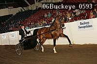 06buckeye_0593 proof