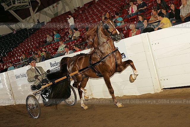 Proof 06buckeye_0594
