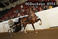 06buckeye_0594 proof