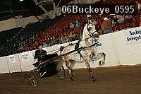 06buckeye_0595 proof