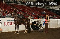 06buckeye_0596 proof