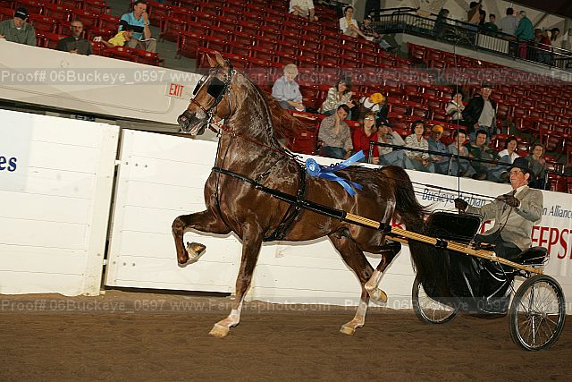 Proof 06buckeye_0597