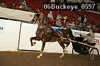 06buckeye_0597 proof