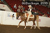 06buckeye_0599 proof