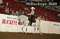 06buckeye_0600 proof