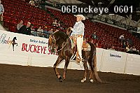 06buckeye_0601 proof
