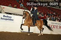 06buckeye_0609 proof