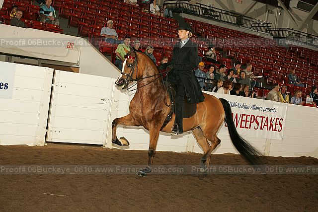 Proof 06buckeye_0610