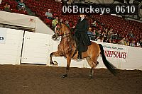 06buckeye_0610 proof
