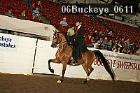 06buckeye_0611 proof