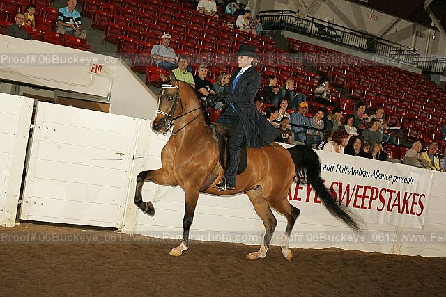 Proof 06buckeye_0612