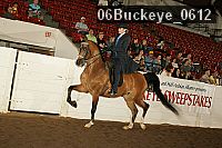 06buckeye_0612 proof
