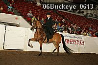 06buckeye_0613 proof