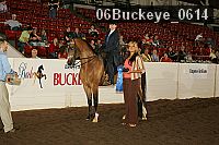 06buckeye_0614 proof
