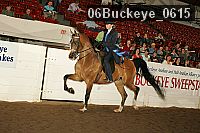 06buckeye_0615 proof