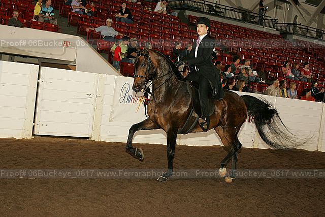 Proof 06buckeye_0617
