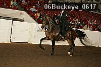06buckeye_0617 proof