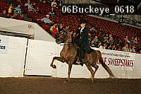 06buckeye_0618 proof