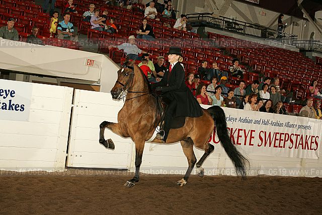 Proof 06buckeye_0619