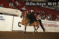 06buckeye_0619 proof