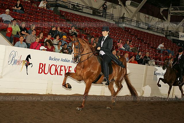 Proof 06buckeye_0621