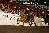 06buckeye_0621 proof