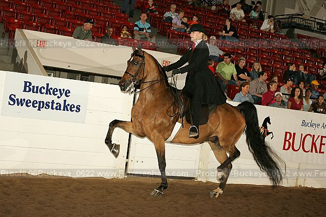 Proof 06buckeye_0622