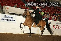 06buckeye_0622 proof