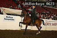 06buckeye_0623 proof