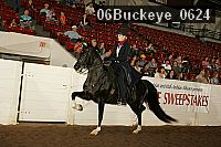 06buckeye_0624 proof