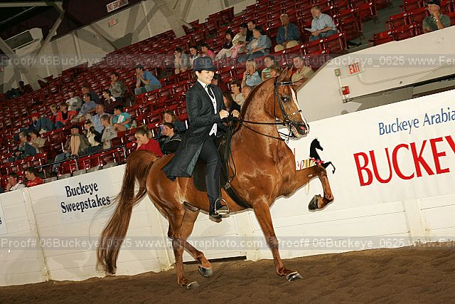Proof 06buckeye_0625