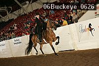 06buckeye_0626 proof