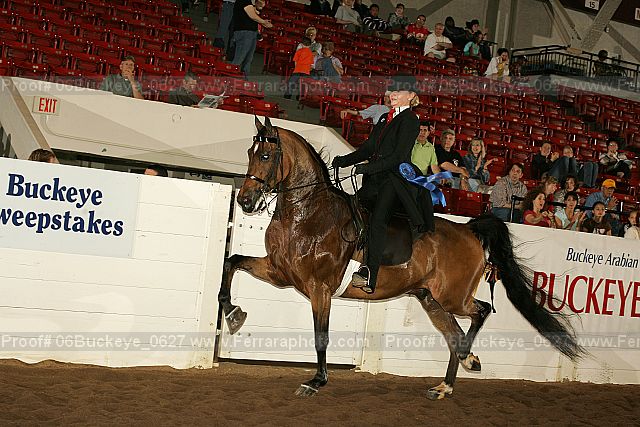 Proof 06buckeye_0627