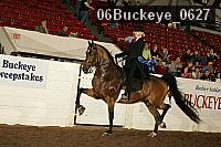 06buckeye_0627 proof