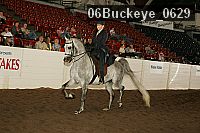 06buckeye_0629 proof
